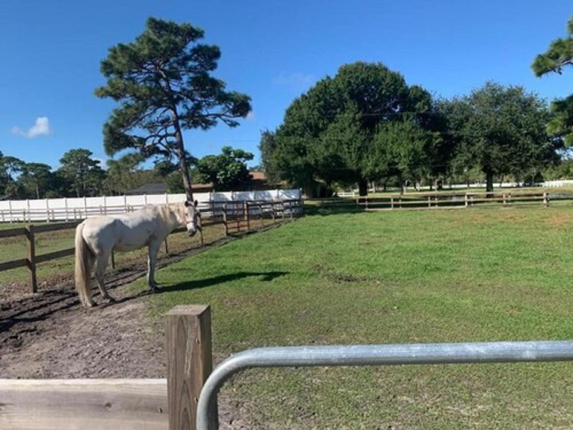 Oyo Family Ranch At Melbourne Fl Hotel Екстериор снимка